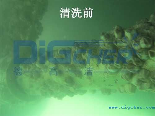 導(dǎo)管架清洗前